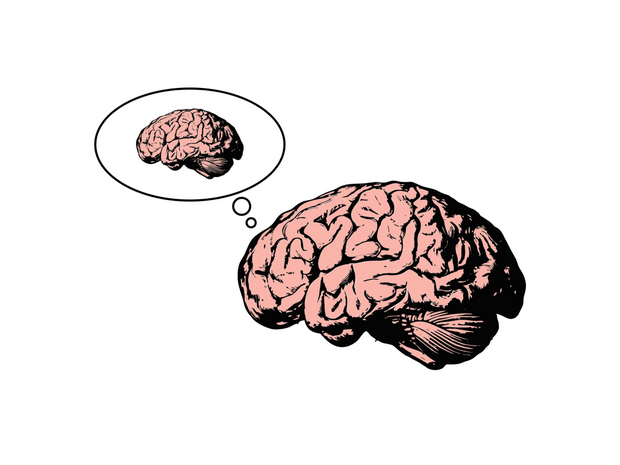 Brain-inception